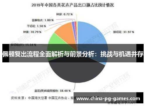 佩顿复出流程全面解析与前景分析：挑战与机遇并存